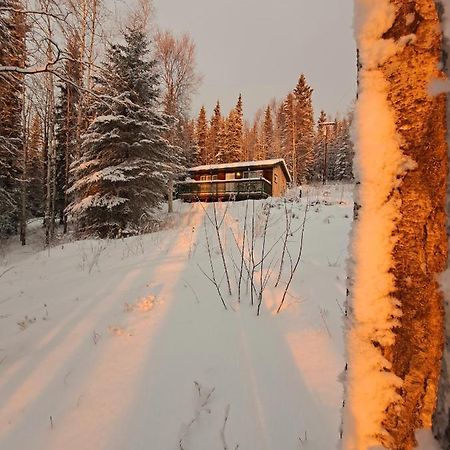Northwoods Cottage Bed And Breakfast Fairbanks Extérieur photo