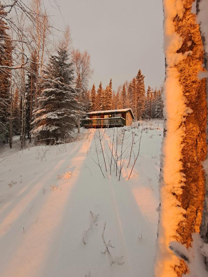 Northwoods Cottage Bed And Breakfast Fairbanks Extérieur photo