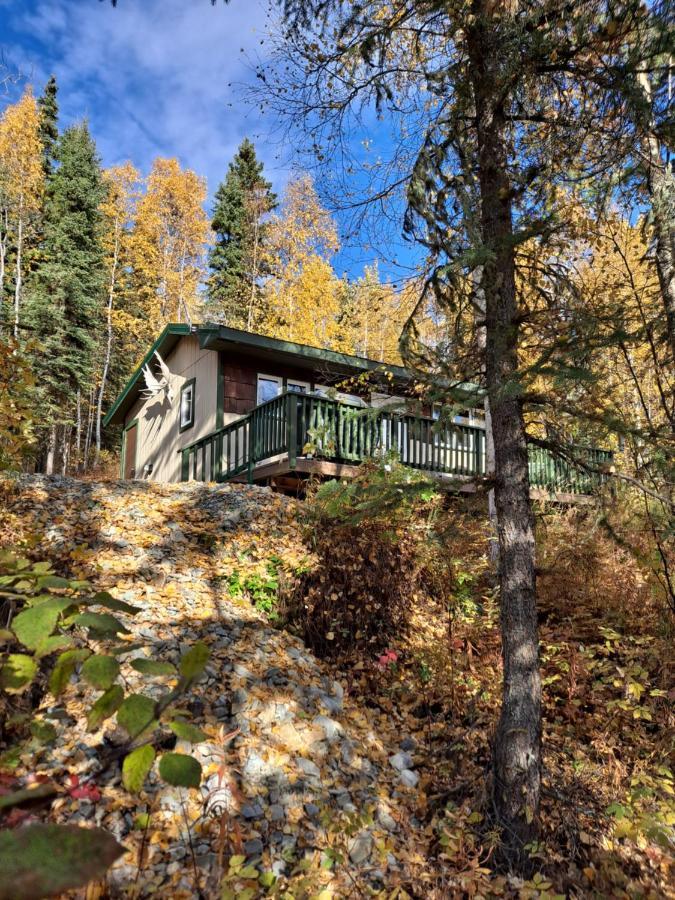 Northwoods Cottage Bed And Breakfast Fairbanks Extérieur photo