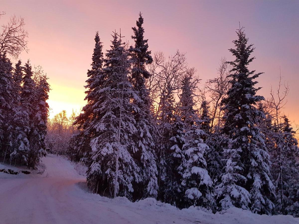 Northwoods Cottage Bed And Breakfast Fairbanks Extérieur photo