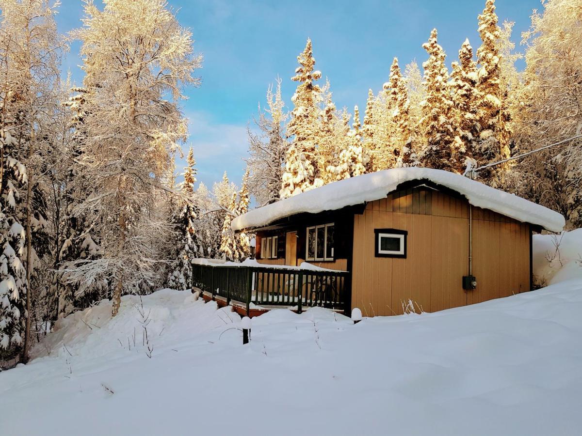 Northwoods Cottage Bed And Breakfast Fairbanks Extérieur photo