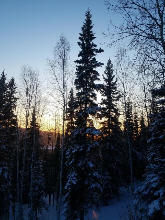 Northwoods Cottage Bed And Breakfast Fairbanks Extérieur photo