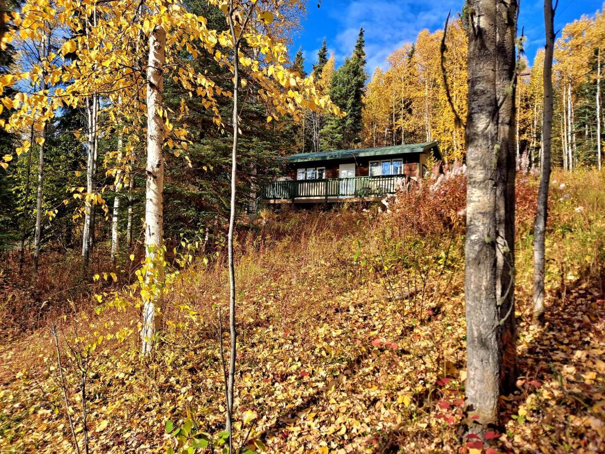 Northwoods Cottage Bed And Breakfast Fairbanks Extérieur photo