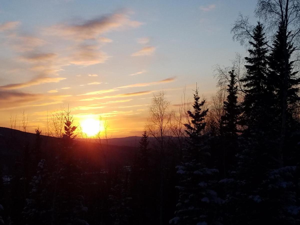 Northwoods Cottage Bed And Breakfast Fairbanks Extérieur photo