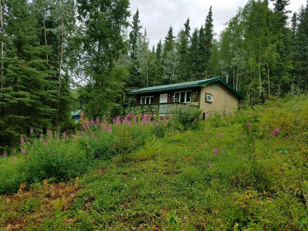 Northwoods Cottage Bed And Breakfast Fairbanks Extérieur photo