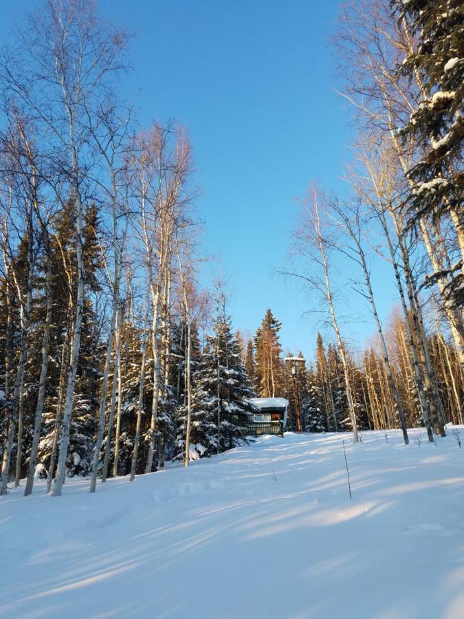Northwoods Cottage Bed And Breakfast Fairbanks Extérieur photo