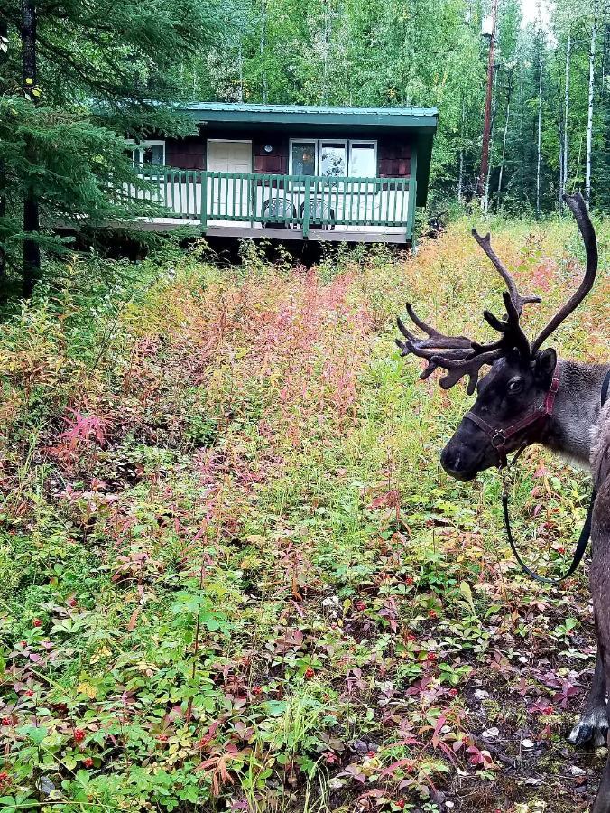 Northwoods Cottage Bed And Breakfast Fairbanks Extérieur photo