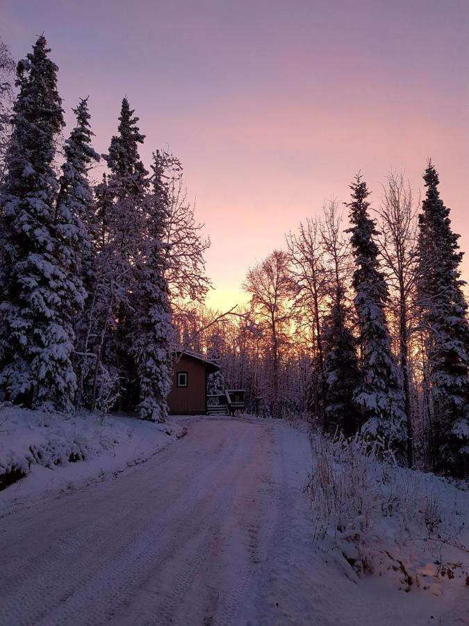 Northwoods Cottage Bed And Breakfast Fairbanks Extérieur photo