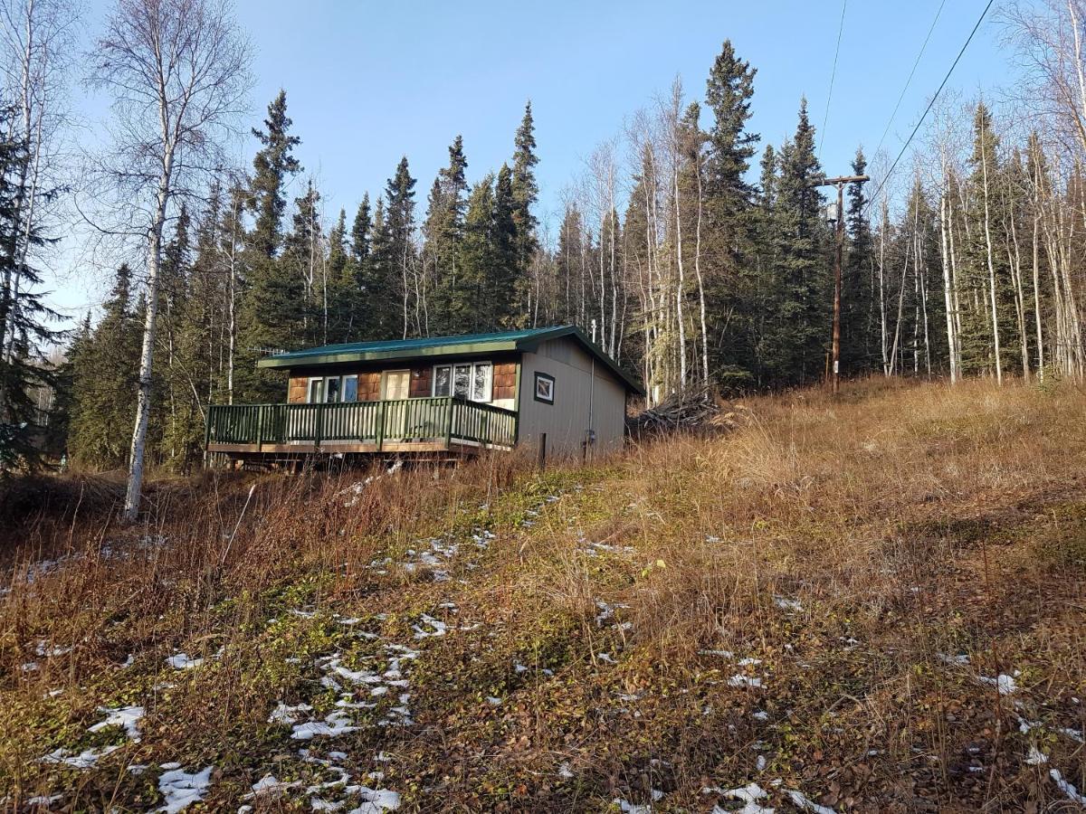 Northwoods Cottage Bed And Breakfast Fairbanks Extérieur photo