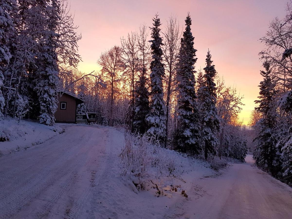 Northwoods Cottage Bed And Breakfast Fairbanks Extérieur photo