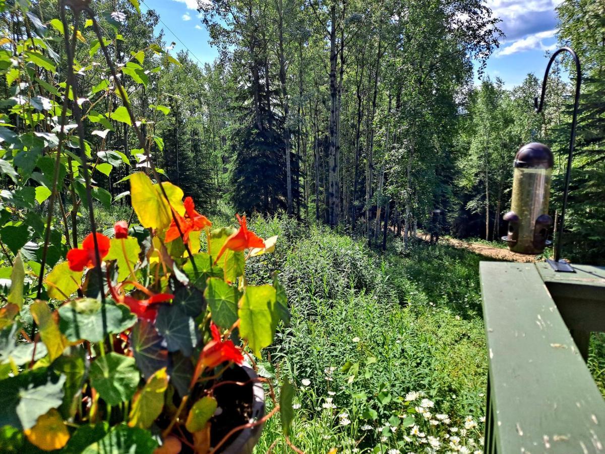 Northwoods Cottage Bed And Breakfast Fairbanks Extérieur photo