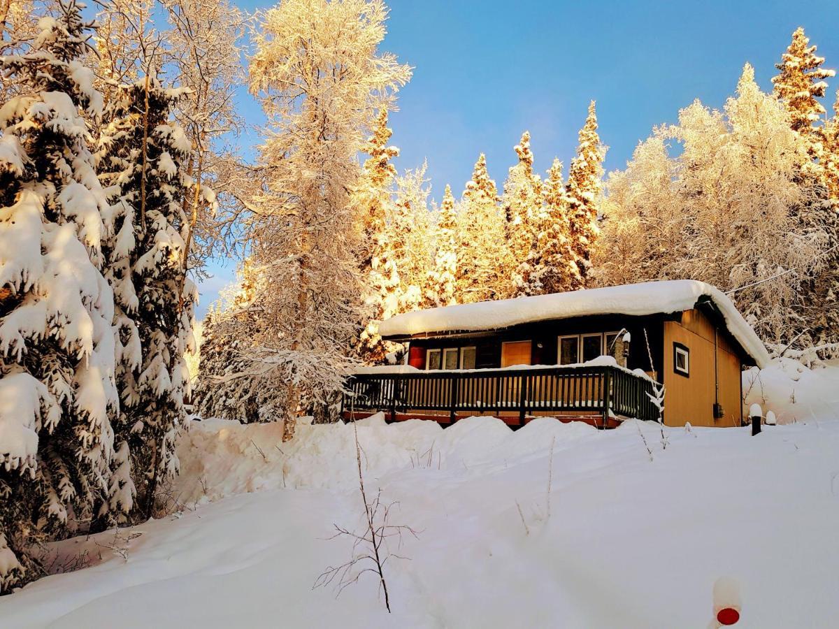 Northwoods Cottage Bed And Breakfast Fairbanks Extérieur photo