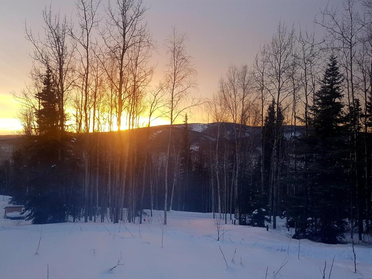 Northwoods Cottage Bed And Breakfast Fairbanks Extérieur photo