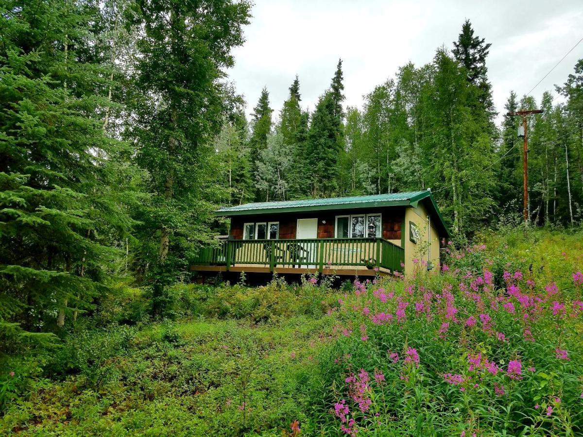 Northwoods Cottage Bed And Breakfast Fairbanks Extérieur photo