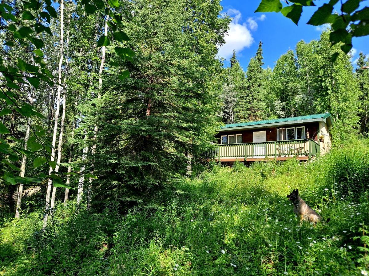 Northwoods Cottage Bed And Breakfast Fairbanks Extérieur photo