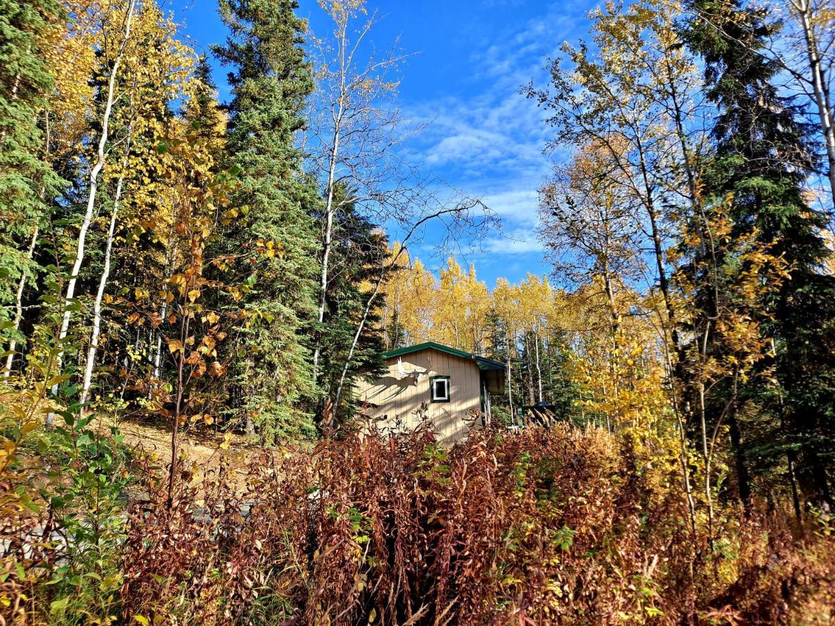 Northwoods Cottage Bed And Breakfast Fairbanks Extérieur photo