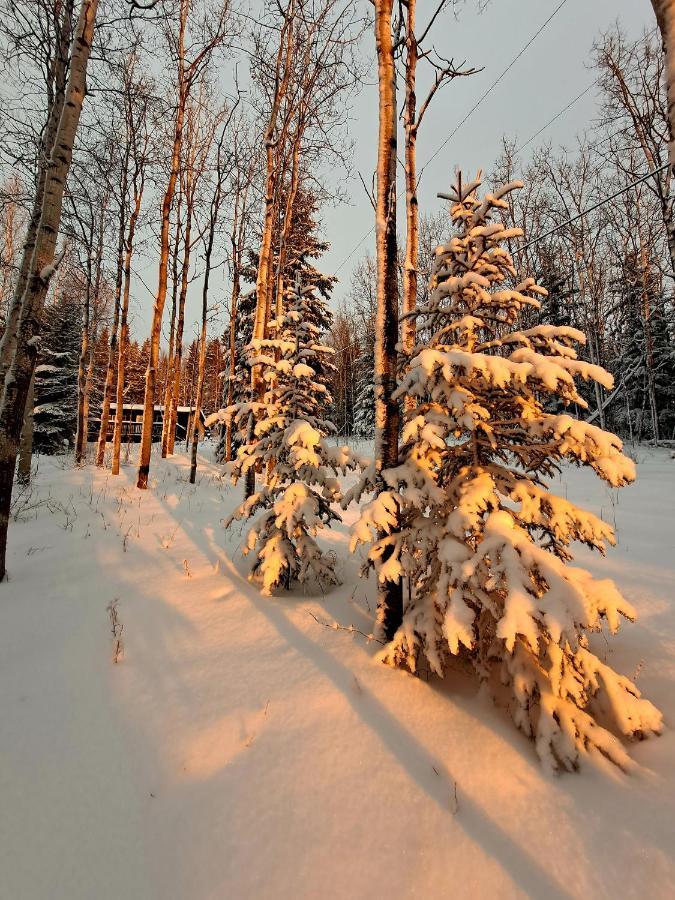Northwoods Cottage Bed And Breakfast Fairbanks Extérieur photo